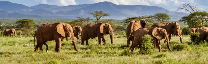 Urlaubsziele in Afrika