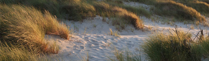 Last Minute Usedom zu Schnäppchenpreisen!