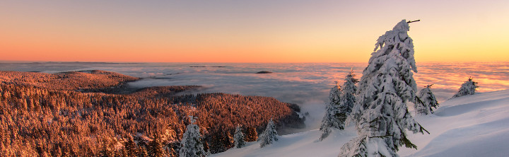 Kurzurlaub im Schwarzwald