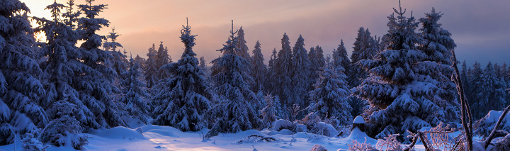 Harz